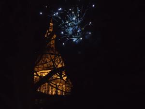 tree branch fireworks