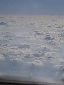 Photo by Tammy Werner