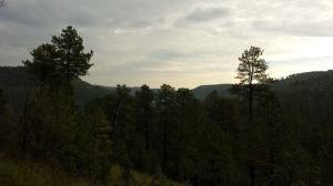 Photo by Tammy Werner